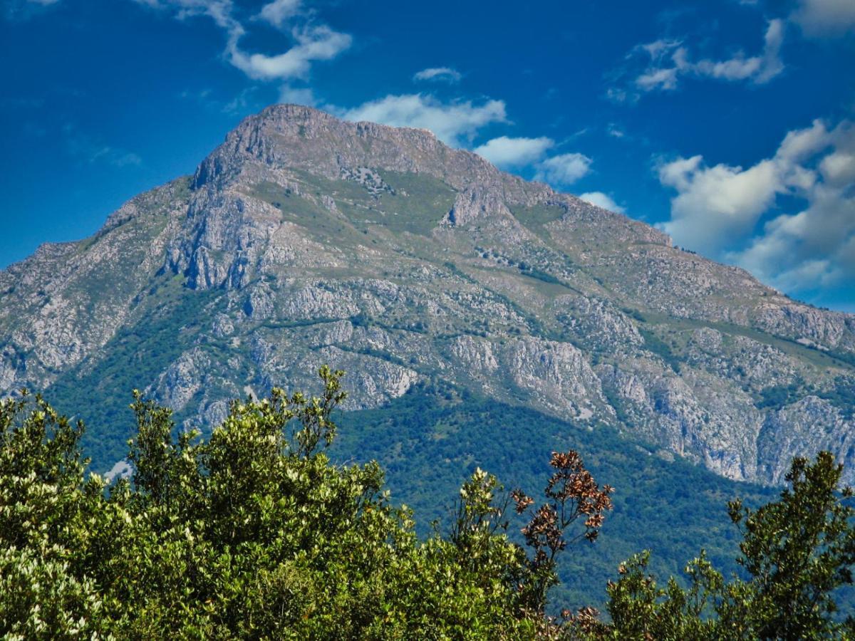 Apartamento L'Ortensia Pigna Exterior foto